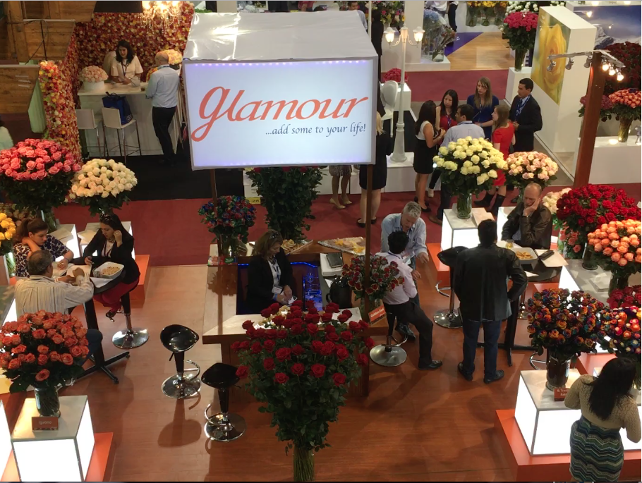 Vente internationale de roses à Quito