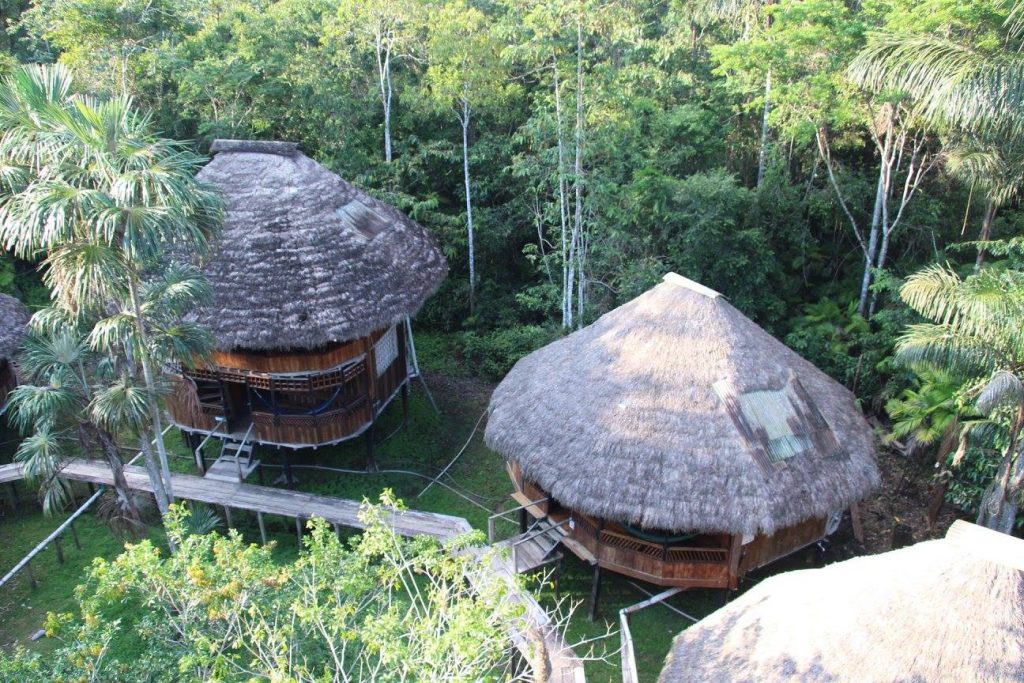 Lodge, catégorie, confort, réserve naturelle Cuyabeno 