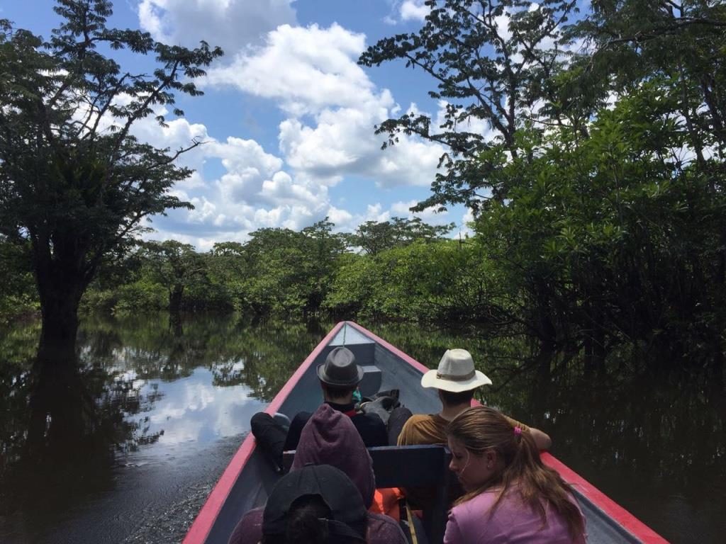 Cuyabeno, rio, canoë, lodge, pirogue à moteur, fleuve, réserve naturelle