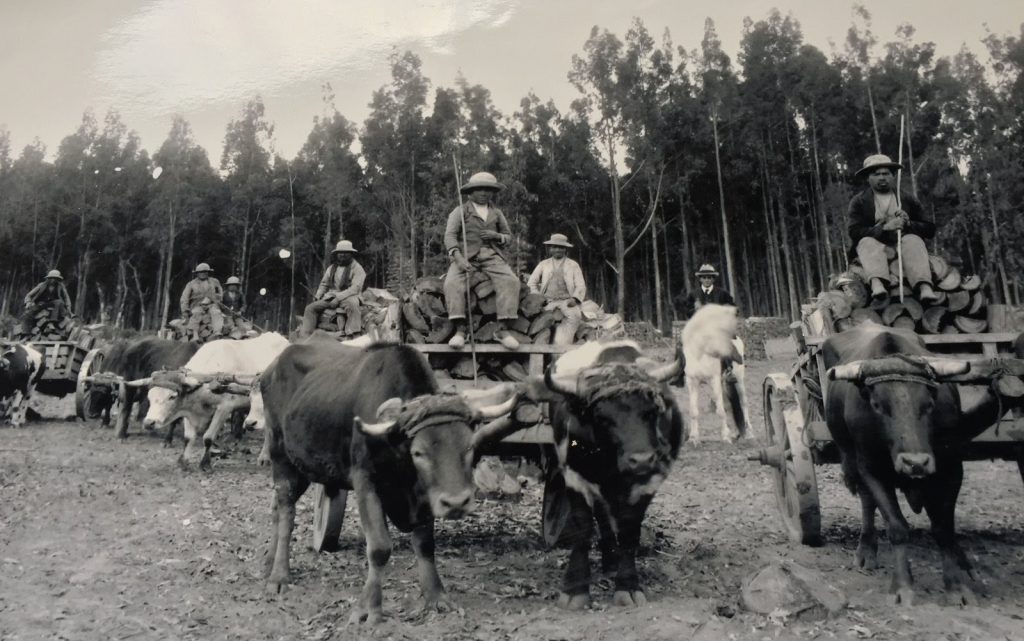 L'Hacienda Leito dans les années 1930, sous la famille Restrepo