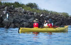 Kayak autour de l'îlot Tintoreras 