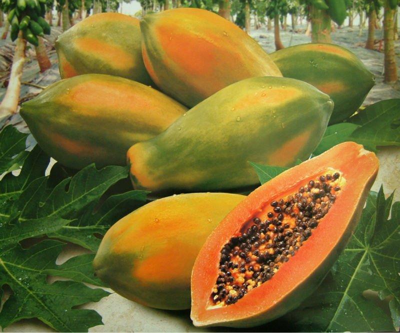 La papaya, l'un des fruits typiques préférés des équatoriens!