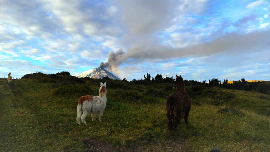 Cotopaxi