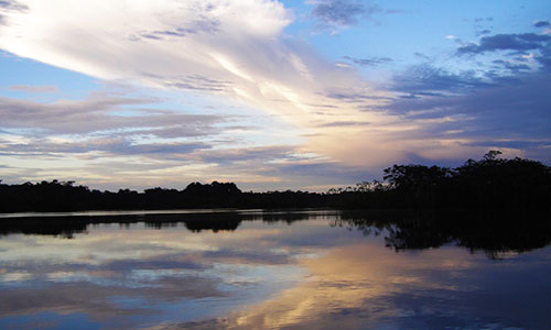 Voyage nature en Equateur
