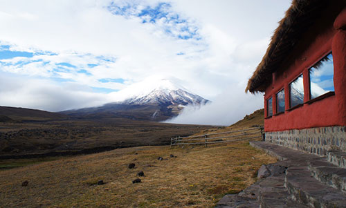 Andes d'Equateur, nature et volcans - Parc Cotopaxi