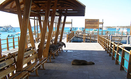 Archipel des Galapagos: île San Cristobal