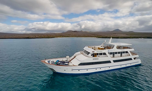 Croisière luxe Sea Star, Galapagos