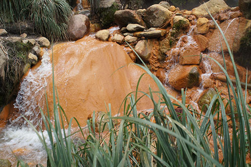 Andes d'Equateur, nature et volcans - Réserve el Angel