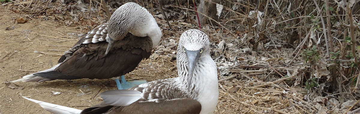 Côte pacifique équatorienne: stations balnéaires