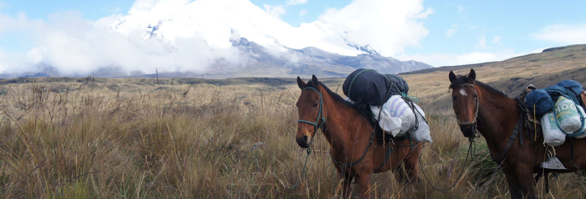 Trekking dans les Andes d'Équateur