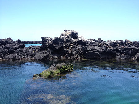 île Isabela, lave des Galapagos