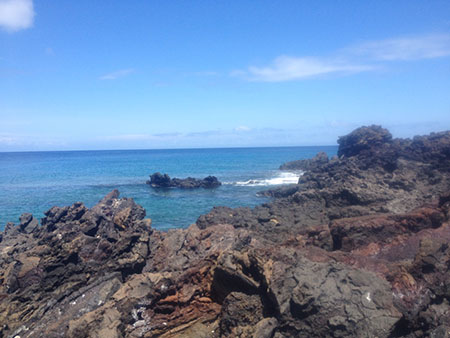 île Santiago, côte des Galapagos