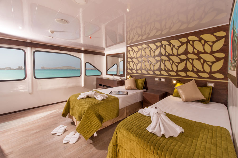 Croisière Galapagos Ecogalaxy, cabine standard