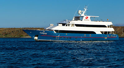 Croisière Galapagos charme, Calipso