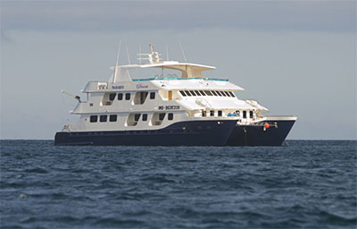 Croisière luxe Galapagos, Cormorant
