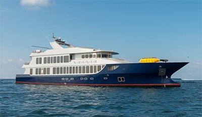Croisière luxe aux Galapagos, Origin