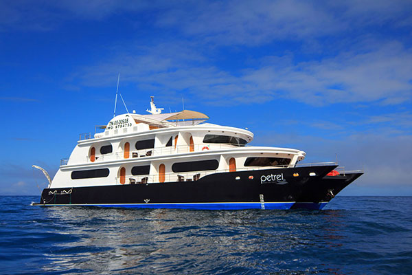 Croisière luxe Petrel, Galapagos