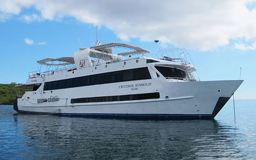 Croisière Galapagos plongée, Humboldt