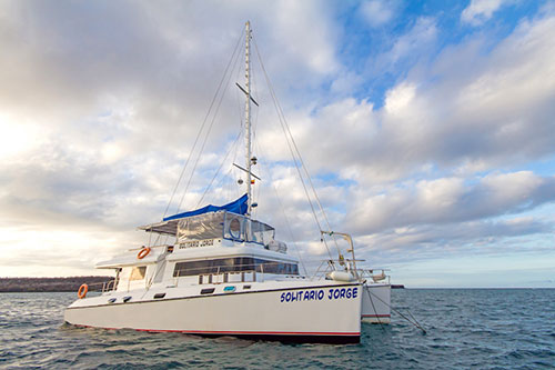 Croisière Galapagos plongée, Lonesome George