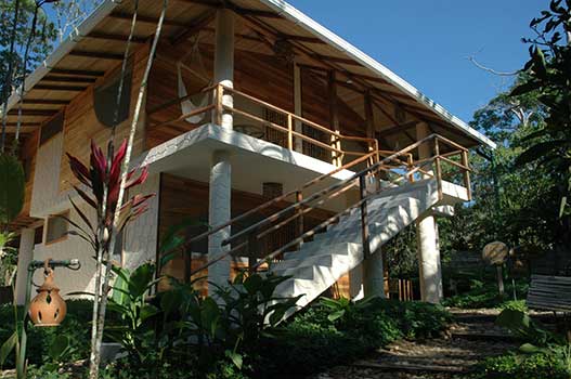 Lodge d'Amazonie, Equateur: Hakuna Matata