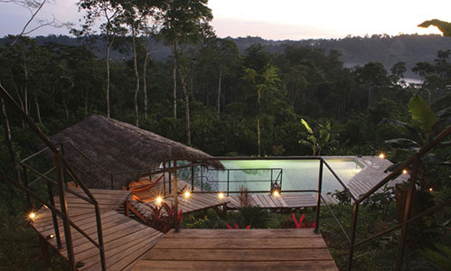 Lodge d'Amazonie, Equateur: Hamadryade