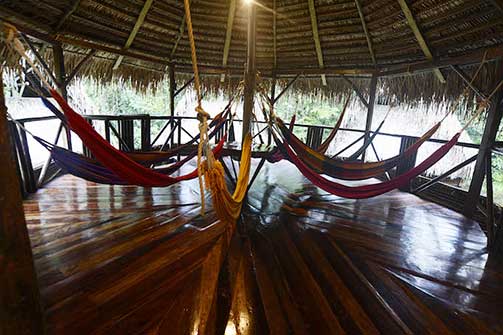 Lodge d'Amazonie, Equateur: Jamu