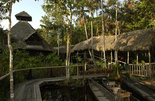 Lodge d'Amazonie, Equateur: Sacha