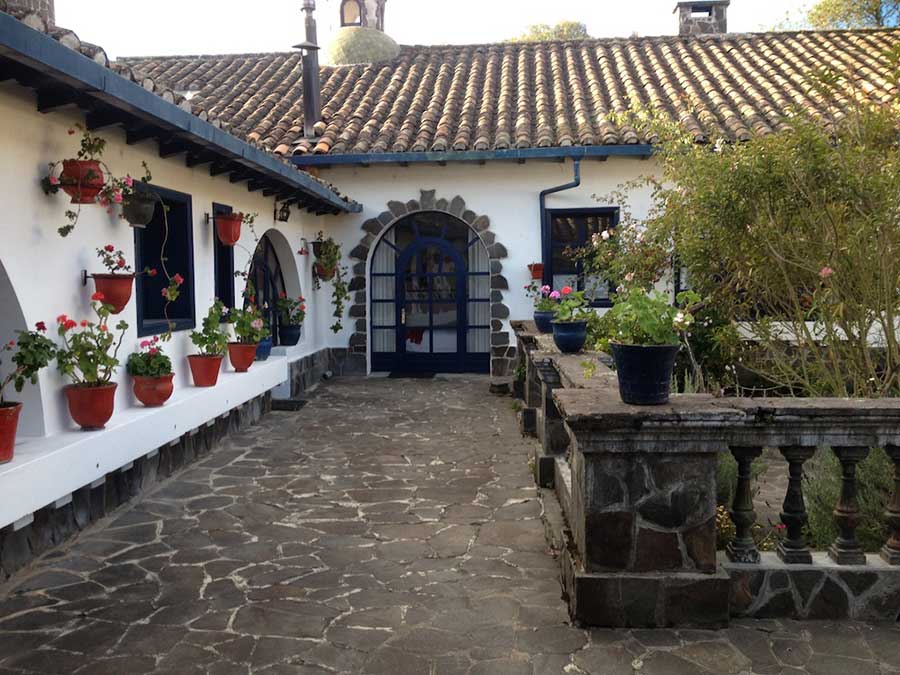 Hacienda Zuleta, Otavalo, fleurs