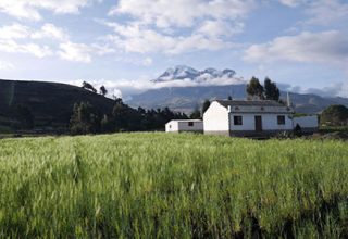 Les Andes d'Equateur