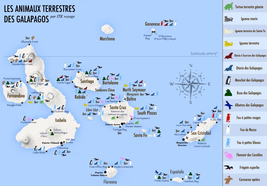 îles Galapagos: animaux terrestres