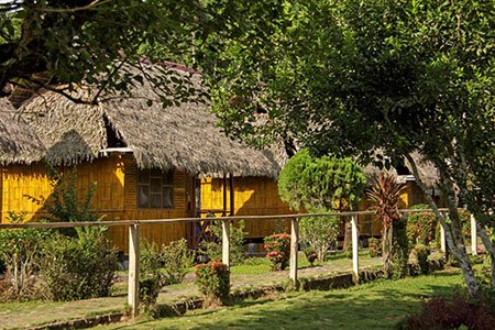 Lodge d'Amazonie, Equateur: Yarina Lodge