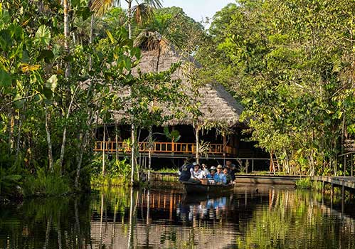 Lodge d'Amazonie: Sani