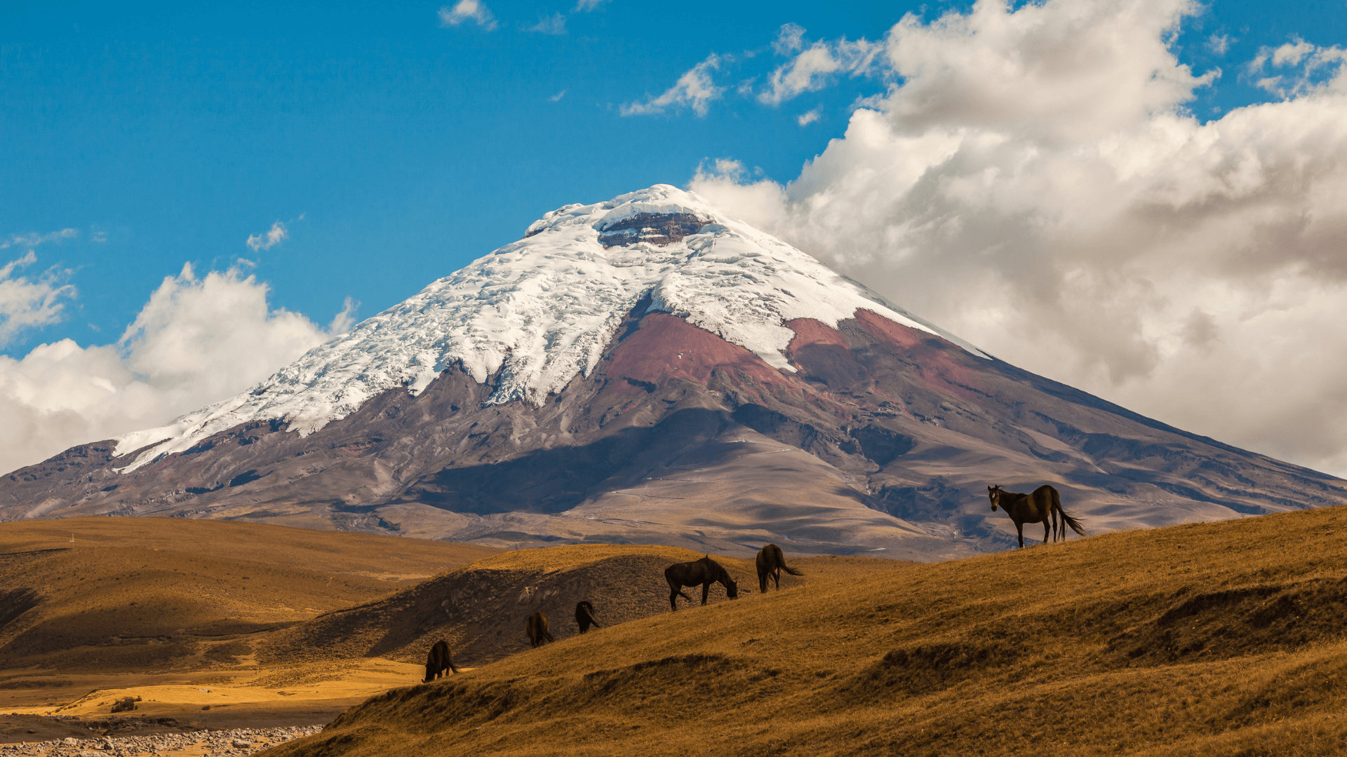 Cotopaxi volcan (Equateur)