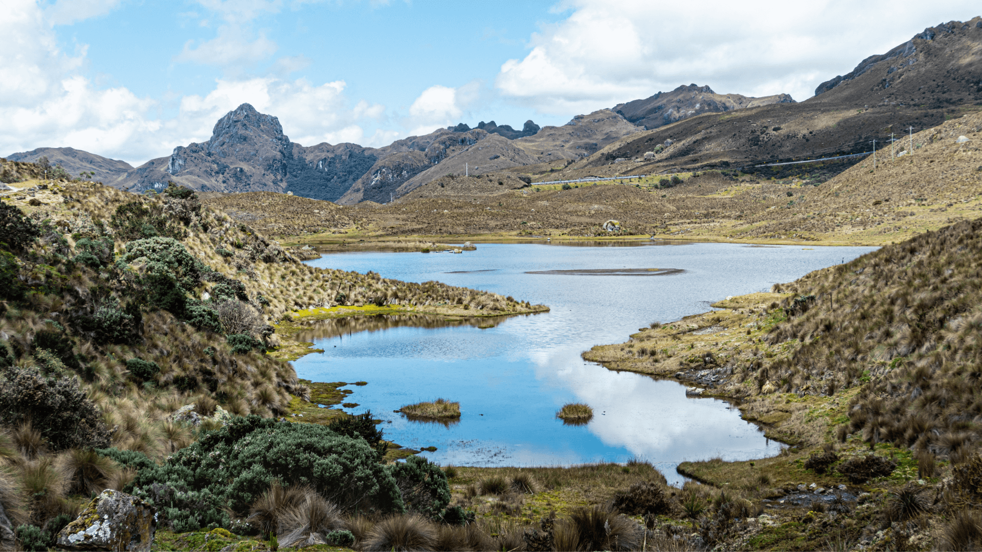 Parc National El Cajas (Equateur)