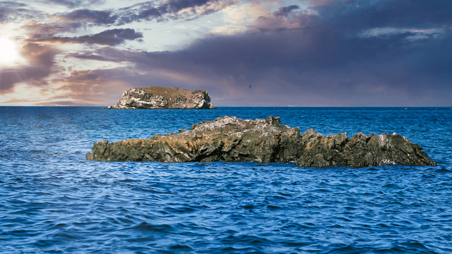 Parc National des Galapagos (Equateur)