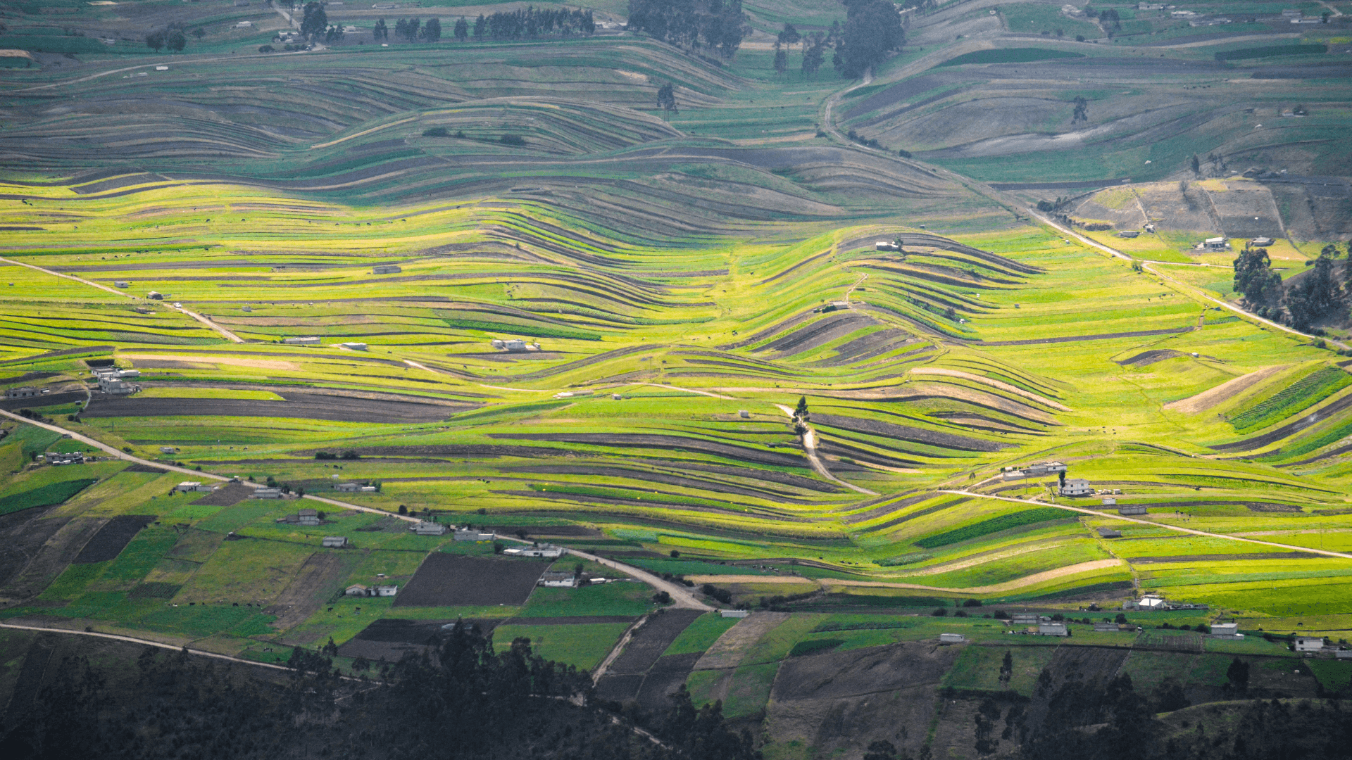 Parc National de Llanganates (Equateur)