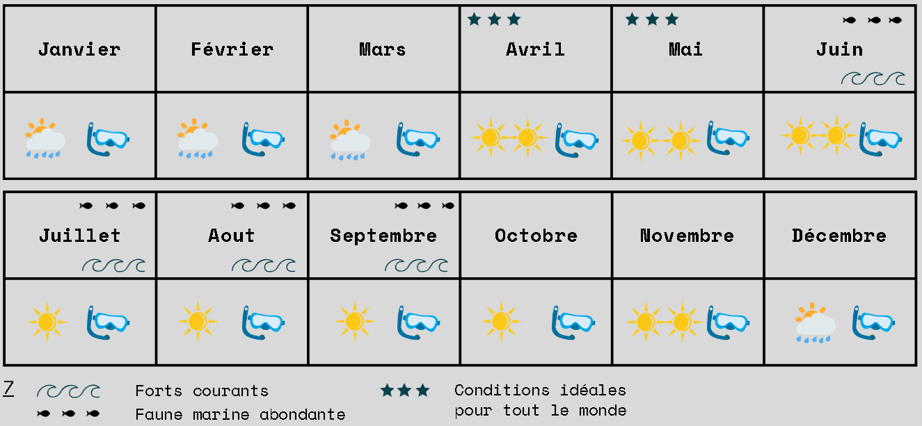 Calendrier pour une croisière d'agrément ou une croisière de plongée aux Galapagos